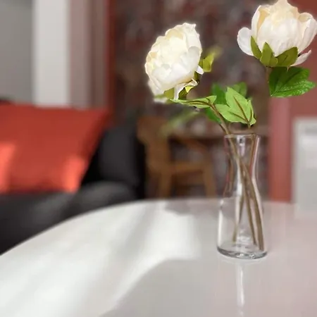Apartment Bel'flora Belfort